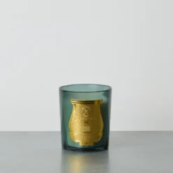 Trudon - Bougie parfumée Figuerie - 270G