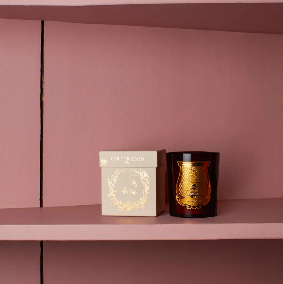 Trudon - Bougie parfumée 270 g - Cire
