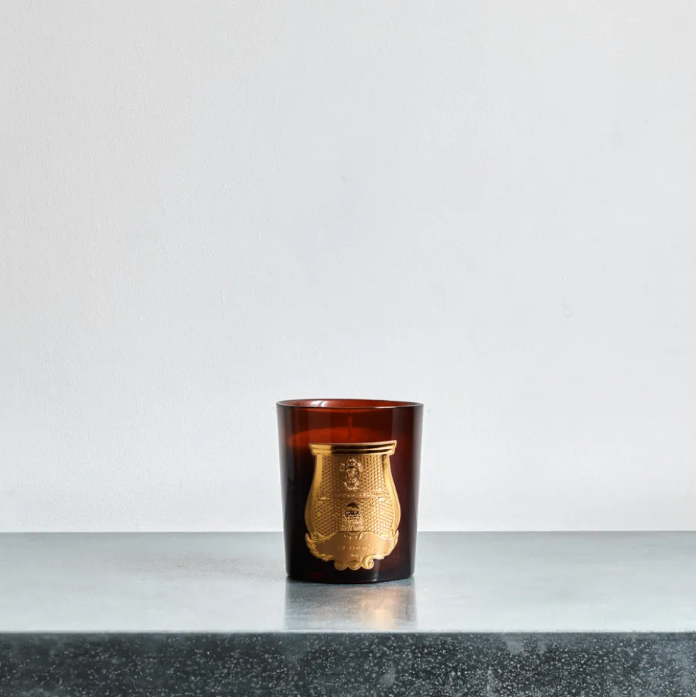 Trudon - Bougie parfumée 270 g - Cire