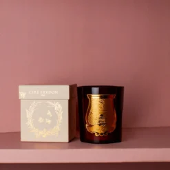 Trudon - Bougie parfumée 270 g - Cire