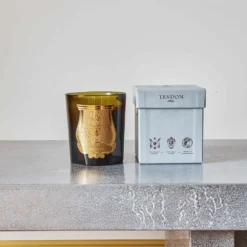 Trudon - Bougie parfumée 270 g - Madeleine