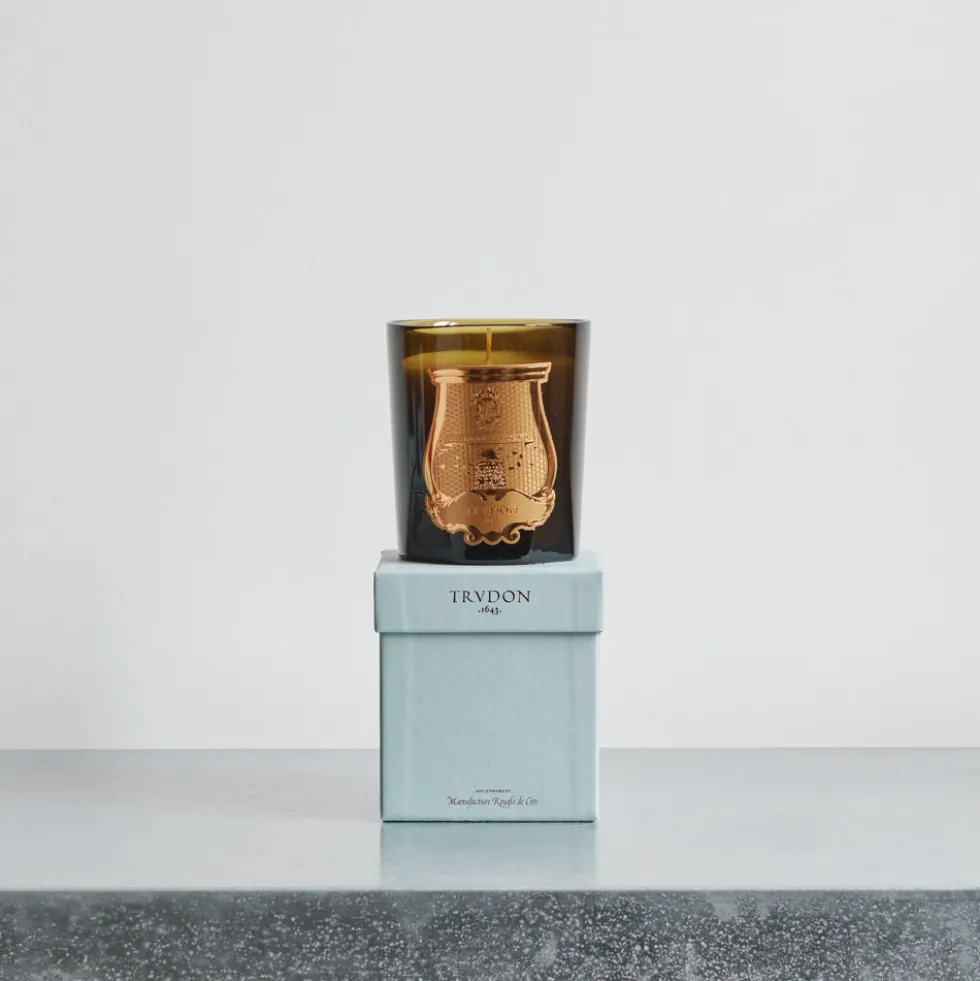 Trudon - Bougie parfumée 270 g - Solis Rex