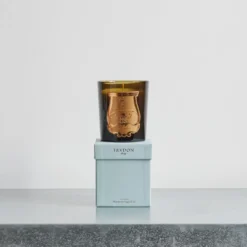 Trudon - Bougie parfumée 270 g - Spiritus Sancti